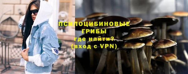 альфа пвп Богородицк