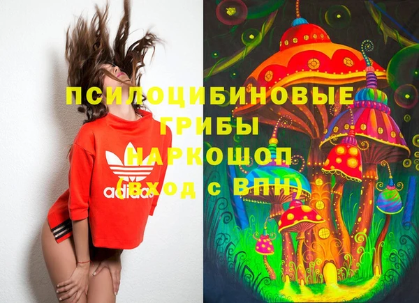 гидропоника Богданович