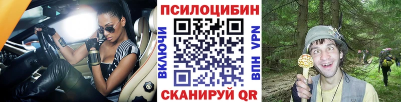 где найти наркотики  Волчанск  Галлюциногенные грибы мицелий 